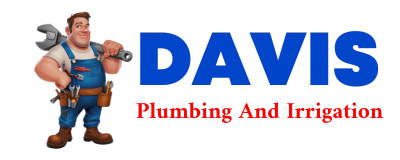 Trusted plumber in RICKETTS